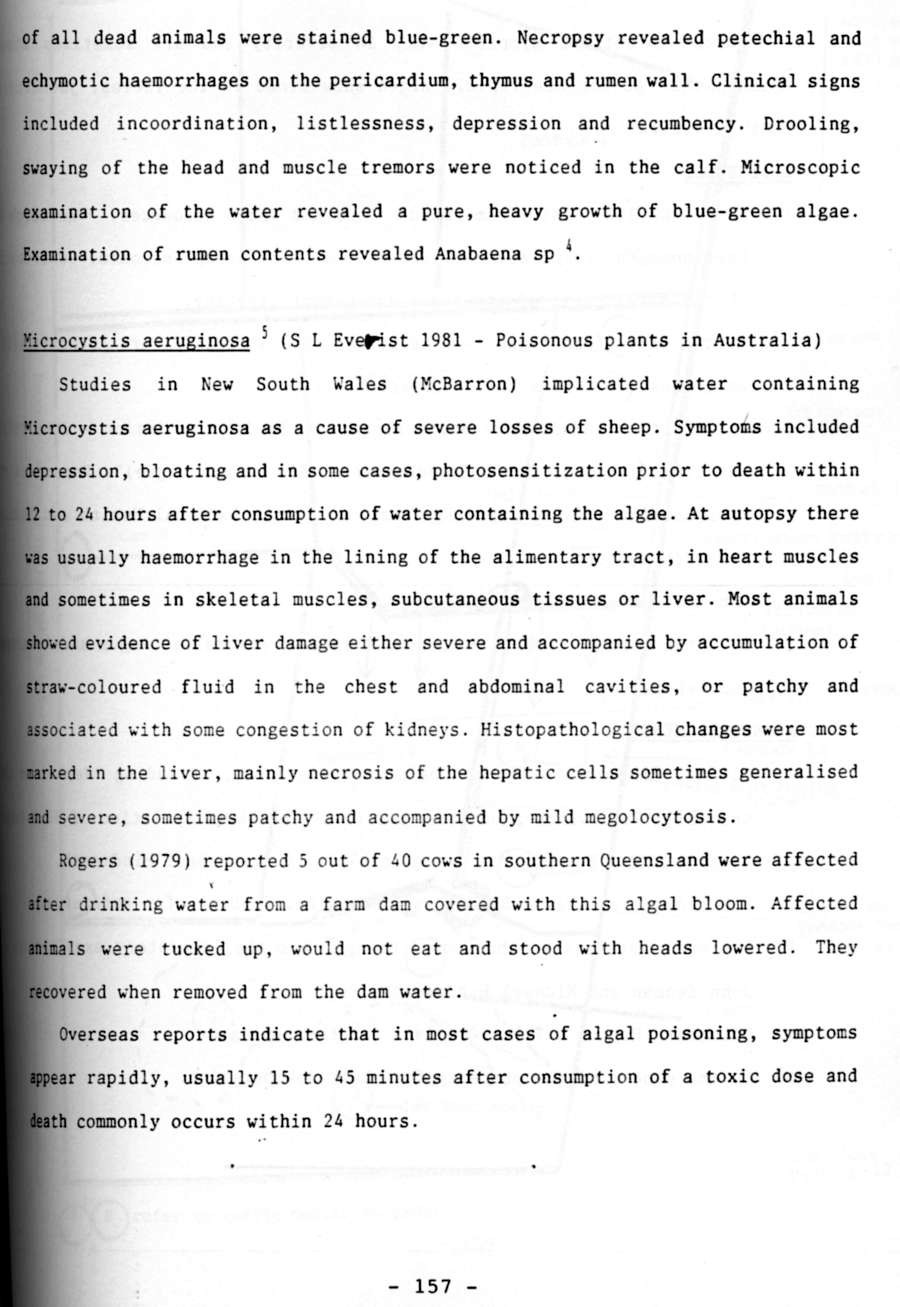 1994 Page 140